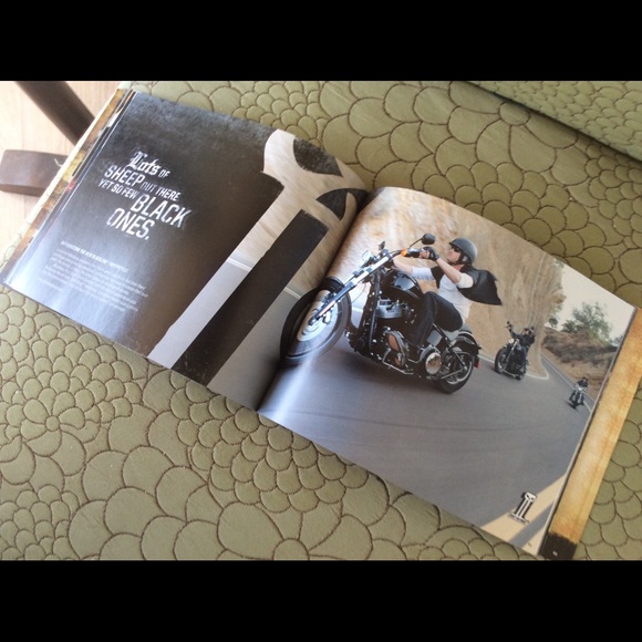 Harley Davidson - Picture 6 of 6